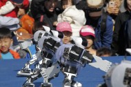 제13회 가고파국화축제 로봇콘텐츠 홍보관 운영